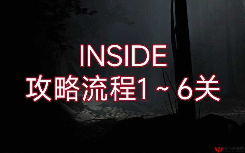 INSIDE第四关怎么过，全面过关攻略与价值最大化